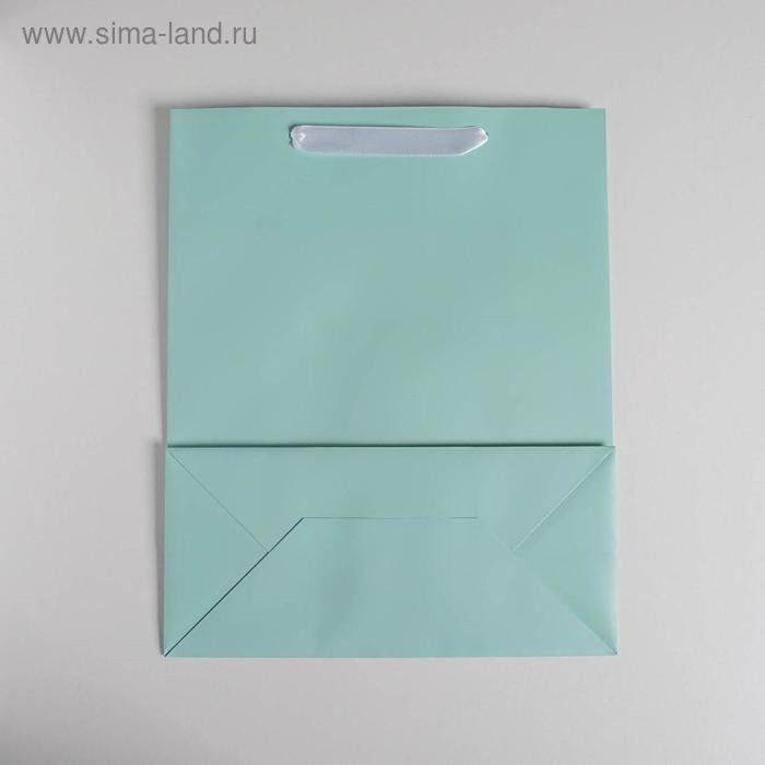 Пакет подарочный, упаковка, «Мятный», 26 х 32 х 12 см
