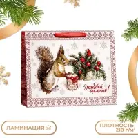 Пакет подарочный ламинированный горизонтальный &laquo;Белочка!&raquo;, 49&times;40&times;19 см