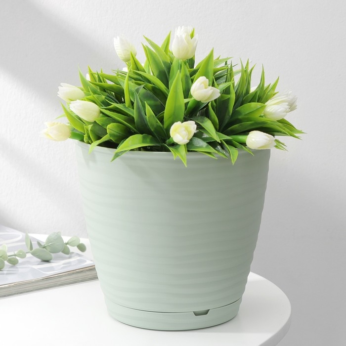 Горшок для цветов с поддоном Saffron, 2,6 л, d=17,6 см, h=16,2 см, цвет светло-зелёный Горшок для цветов с поддоном Saffron, 2,6 л, d=17,6 см, h=16,2 см, цвет светло-зелёный