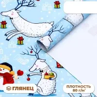 Бумага упаковочная новогодняя глянцевая &laquo;Морозный день!&raquo;, 70&times;100 см
