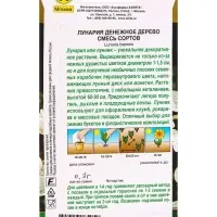 Семена цветов Лунария Денежное дерево, смесь сортов Дв Золотая серия, Ц/П,0,3 г