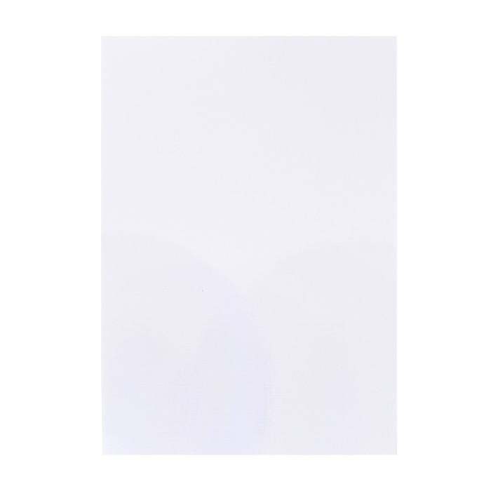 Бумага для пастели А4, 10 листов  Бумага для пастели А4, 10 листов "Щенки", блок 160 г/м2, в папке