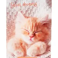 Набор блокнотов А6 40л кл на скобе Сладкий сон, мел карт, бл офс, 4В 20шт