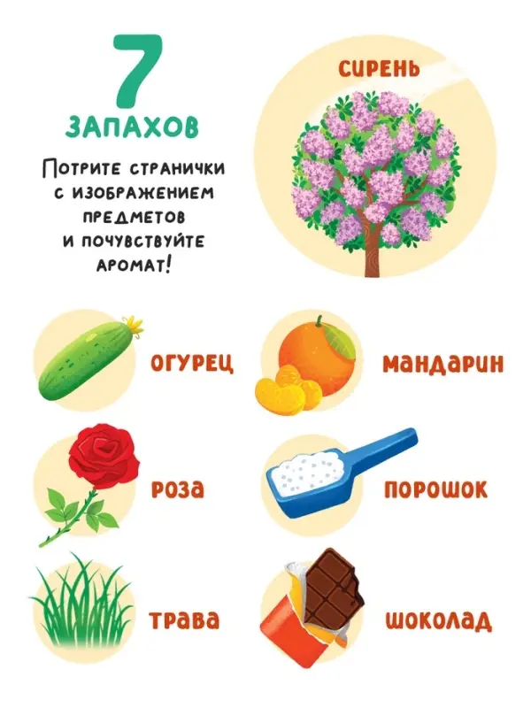 Книга с окошками &laquo;Чем пахнет всё вокруг?&raquo;, 7 ароматов