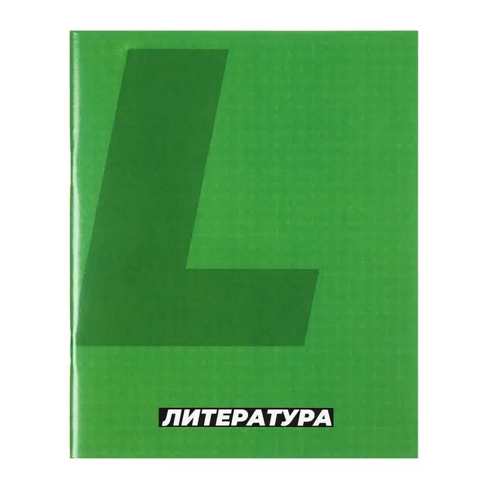 Тетради предметные Calligrata. MonoTone, 10 предметов, 36 листов, со справочным материалом, серые листы, обложка из мелованной бумаги