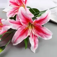 Цветы искусственные &laquo;Лилия галант&raquo;, h=66 см, d=13 см, розовые