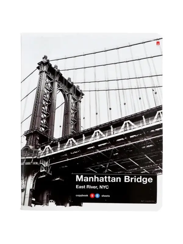 Тетрадь 96 л кл NY-NY, МИКС