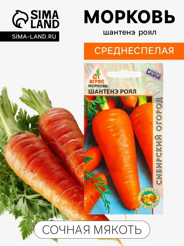 Семена Морковь &laquo;Шантенэ Роял&raquo;, 1 г, &laquo;Агросс&raquo;