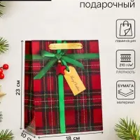 Пакет подарочный новогодний ламинированный &laquo;Подарок&raquo;, 18&times;23&times;10 см