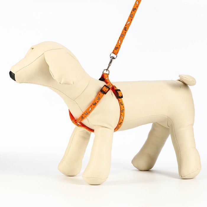Комплект  Комплект "Собачки", ширина 1 см, поводок 1,2 м, шлейка 23-35 см, оранжевый