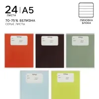 Тетрадь 10 штук, 24 листа в линейку Calligrata &laquo;Однотон&raquo;, блок №2, 5 видов
