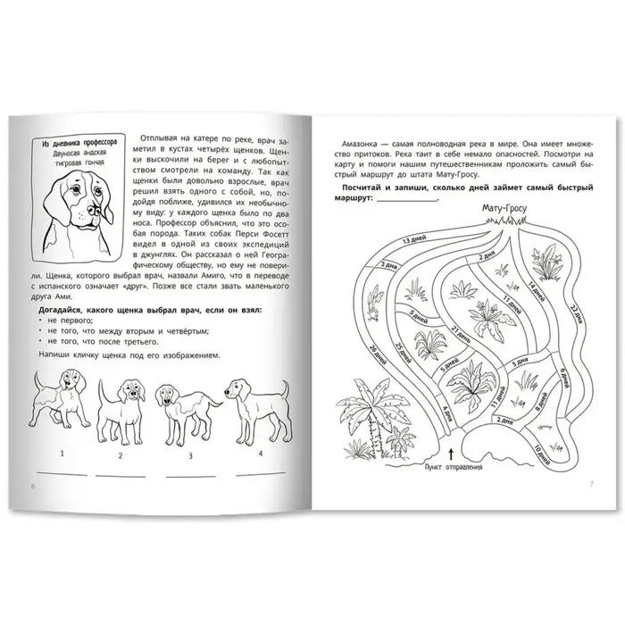 Развитие мышления и внимания у младших школьников. Праведникова. И.