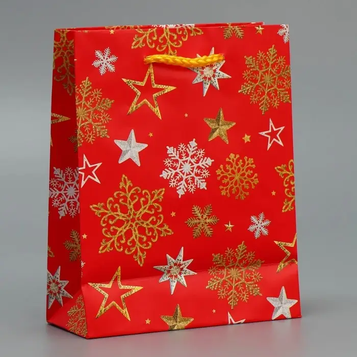 Пакет подарочный новогодний ламинированный «Звёздные снежинки», S 12 х 15 х 5.5 см Пакет подарочный новогодний ламинированный «Звёздные снежинки», S 12 х 15 х 5.5 см