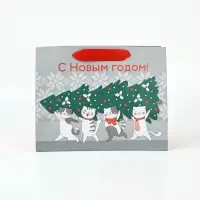 Набор пакетов &laquo;Чудесного Года&raquo;,12&times;15&times;5.5 см, 23&times;18&times;10 см, 23&times;27&times;11.5 см