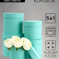 Набор шляпных подарочных коробок 5 в 1 &laquo;Мята однотонный&raquo;,20&times;20&times;20‒11&times;11&times;11 см