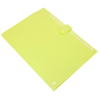 Папка органайзер Rio на кнопке  A4 8отделений РР 0,6мм в ассортим EB40102