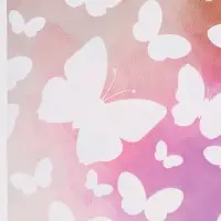 Бумага упаковочная двухсторонняя &laquo;Яркие бабочки&raquo;, глянец, 100&times;70 см
