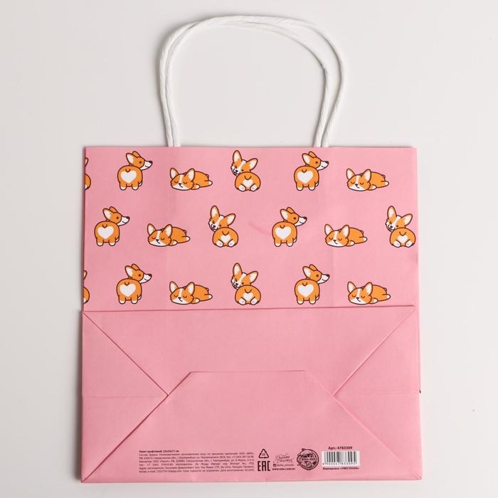 Пакет подарочный крафтовый, упаковка, I love you, 22 х 22 х 11 см Пакет подарочный крафтовый, упаковка, I love you, 22 х 22 х 11 см