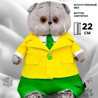 Мягкая игрушка &laquo;Кот Басик&raquo; в ярком костюме, 22 см