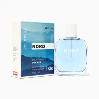 Туалетная вода мужская Free Style Nord Ice Dream, 100 мл
