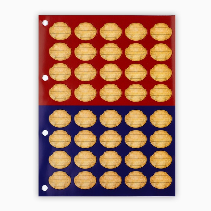 Родословная книга «Книга нашей семьи», 65 листов, 32 х 23 см.