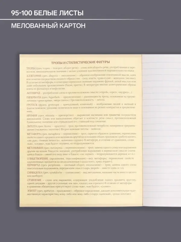 Предметная тетрадь по литературе Calligrata &laquo;Мрамор светлый&raquo;, 48 листов, в линейку, со справочным материалом, обложка из мелованного картона