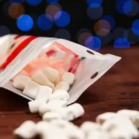 Пакет подарочный «Санта», с zip - lock застежкой 18×22 см