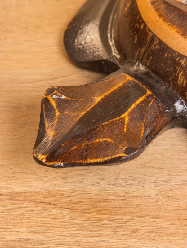 Сувенирный музыкальный инструмент Калимба «Черепаха», 18×24×6 см, албезия, кокос Сувенирный музыкальный инструмент Калимба «Черепаха», 18×24×6 см, албезия, кокос