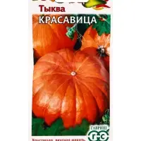 Семена Тыква &laquo;Красавица&raquo; 1 г