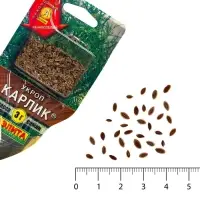 Семена Укроп "Карлик", сеялка, 3 г