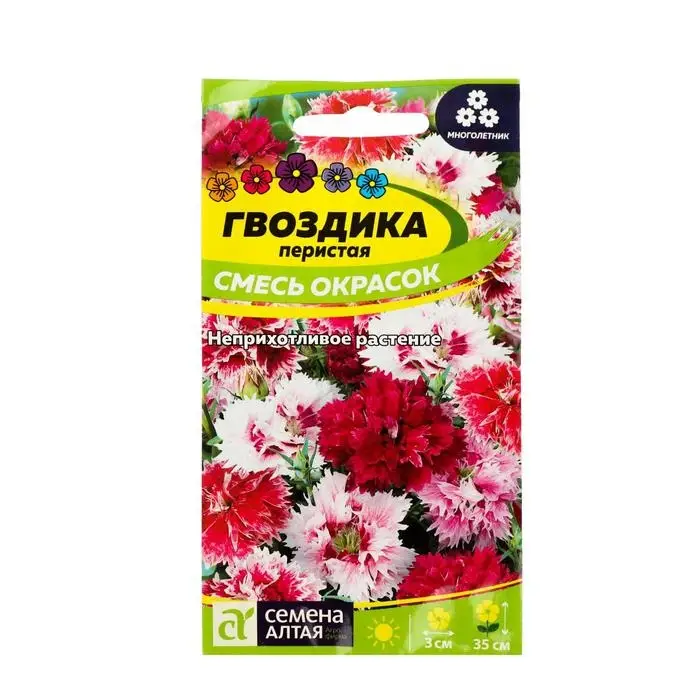 Семена цветов Гвоздика "Перистая", ц/п,  0,1 г Семена цветов Гвоздика "Перистая", ц/п,  0,1 г