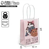 Пакет подарочный крафтовый, упаковка, &laquo;Подарок для тебя&raquo;, 15 х 10 х 6 см