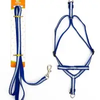 Комплект со светоотражающей лентой, ширина 1 см, поводок 120 см, шлейка 26-40 см, синий