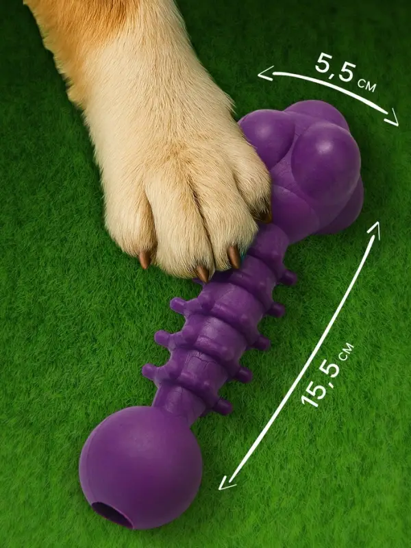 Жевательная игрушка для собак &laquo;Спортсмен&raquo;, 15.5 см, TPR, фиолетовая