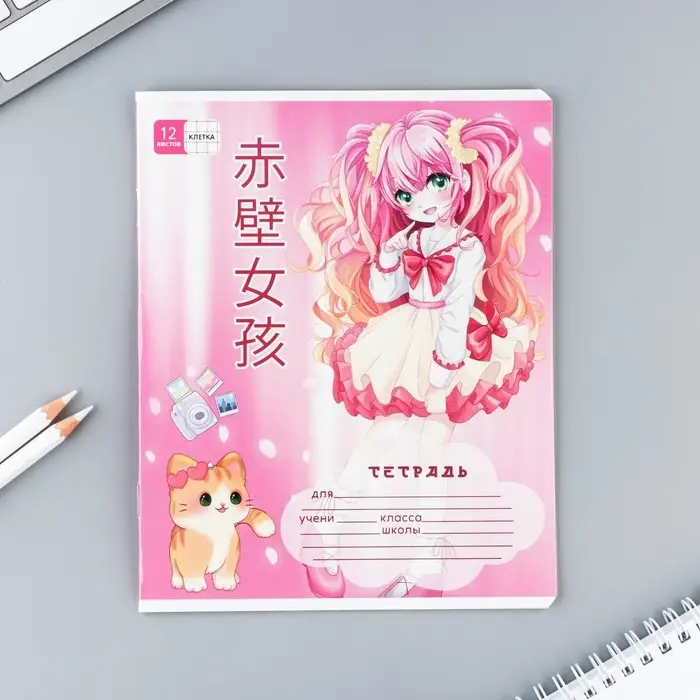 Тетрадь в клетку 12 листов А5, на скрепке &laquo;Аниме&raquo;, обложка мелованный картон, блок №2, 5 видов МИКС