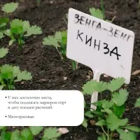 Бирки садовые, для маркировки растений, 10.5 см, набор 20 шт., маркер, пластик, белые, Greengo