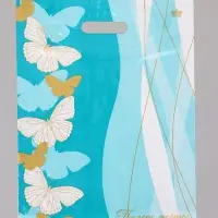 Пакет подарочный Полет мечты  40 х 31 см 60 мкм