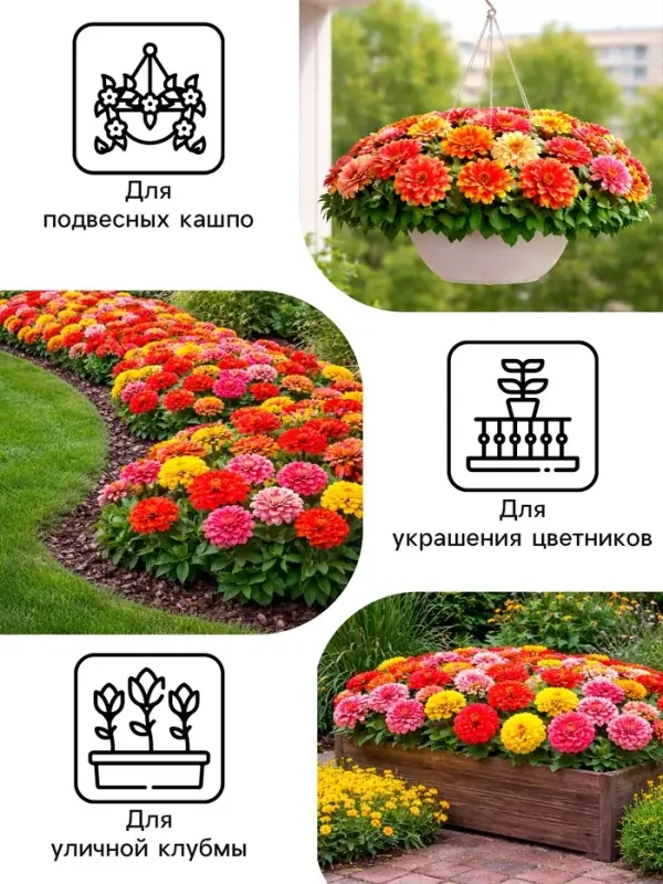 Семена цветов Цинния &laquo;Карусель&raquo;, смесь 0.3 г, &laquo;Рецепты дедушки Никиты&raquo;