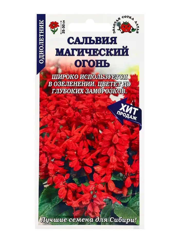 Семена Сальвия Магический огонь /Сотка/ 0,1г/ h-20см/*1300 Семена Сальвия Магический огонь /Сотка/ 0,1г/ h-20см/*1300