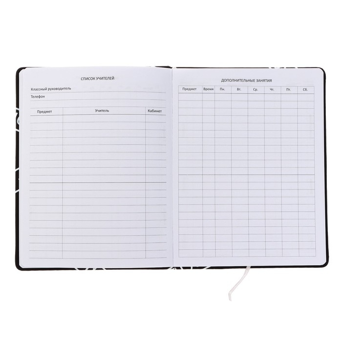 Дневник универсальный для 1-11 класса "Все Норм", твёрдая обложка, искусственная кожа, с поролоном, ляссе, 80 г/м2