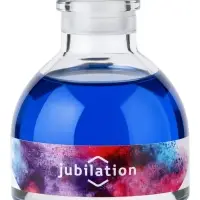 Диффузор ароматический с палочками Holi Jubilation, 50 мл