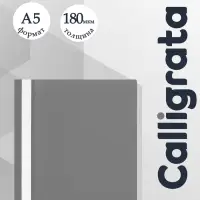 Папка-скоросшиватель Calligrata, А5, 180 мкм, серая с прозрачным верхом