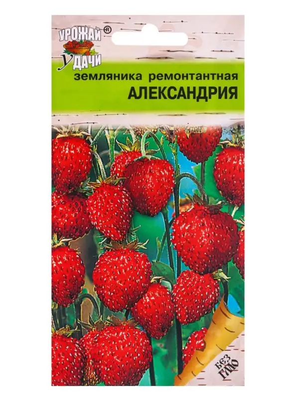 Семена Земляника &laquo;Александрия&raquo;, 0.04 г, ремонтантная, &laquo;Урожай удачи&raquo;