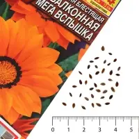 Семена Гацания &laquo;Балконная&raquo;, для балкона, веранды, цветника, однолетник, низкорослая4 шт.