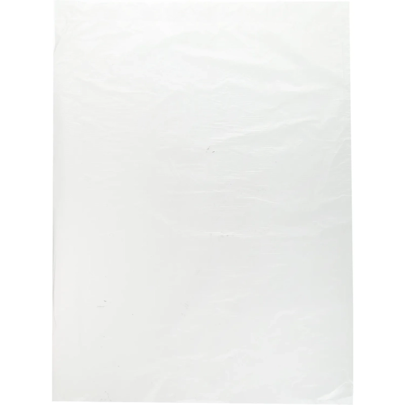 Пакет фасовочный ПНД 24х37 12 мкм 500шт/уп прозрач