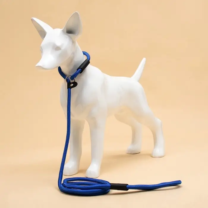 Ринговка для собак, 130&times;0.8 см, синяя