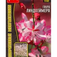Семена цветов Гаура Линдхеймера 0,1г. АКЦИЯ