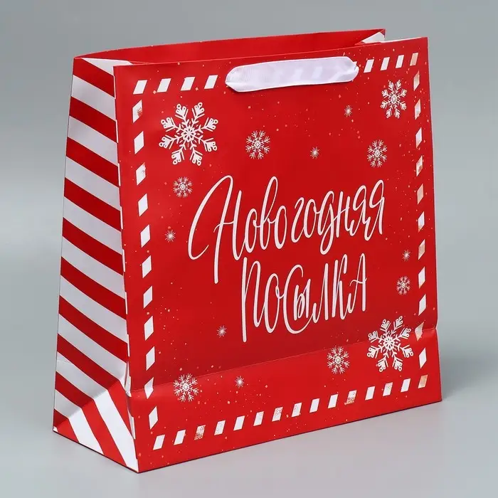 Набор пакетов ламинированных «Снежного Нового года» Набор пакетов ламинированных «Снежного Нового года»