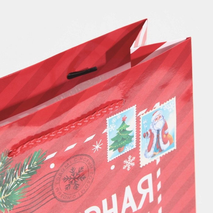 Пакет подарочный новогодний ламинированный «Полярная почта», ML 21 х 25 х 8 см Пакет подарочный новогодний ламинированный «Полярная почта», ML 21 х 25 х 8 см