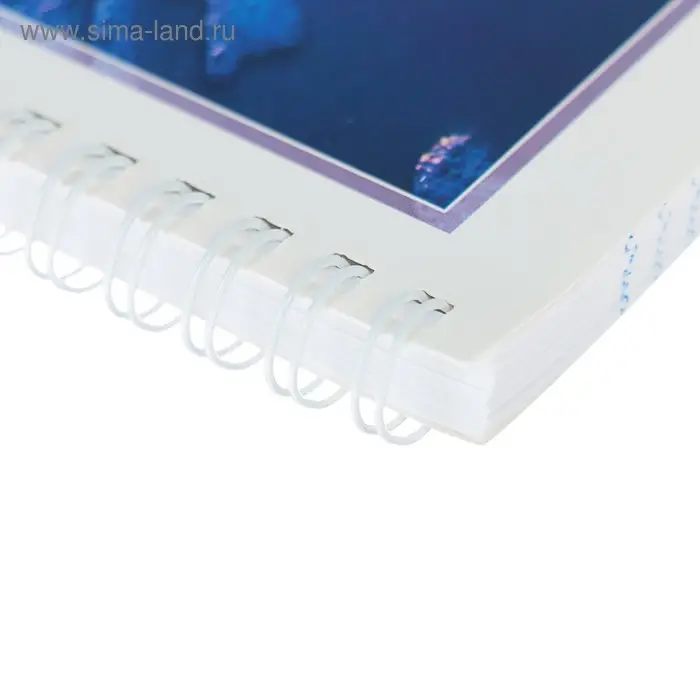 Тетрадь А4, 96 листов клетка &laquo;Океан&raquo;, обложка мелованный картон, УФ-лак, МИКС